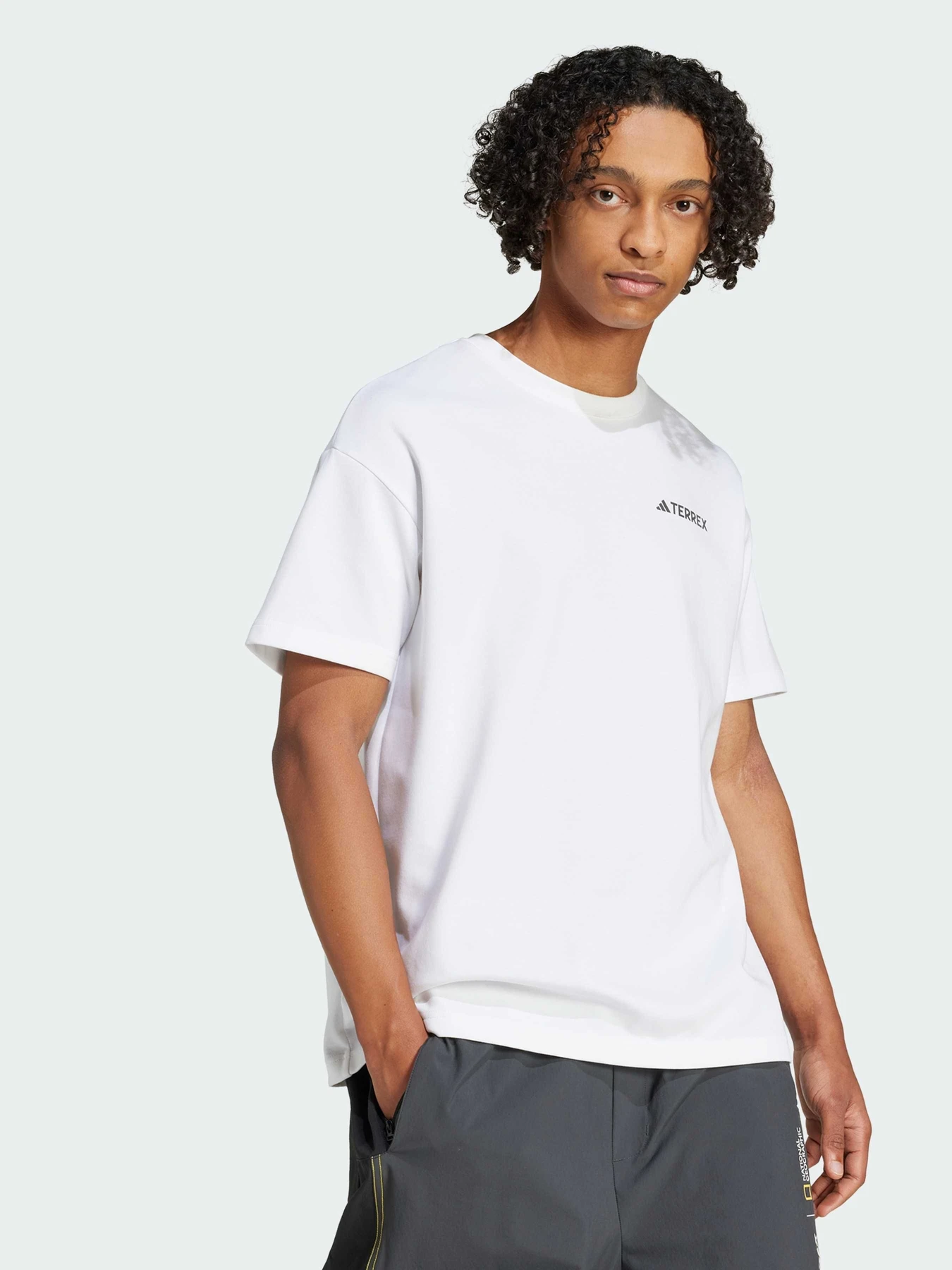 Футболки и поло Adidas модель JD5956 Футболки и поло Adidas модель JD5956 Фото