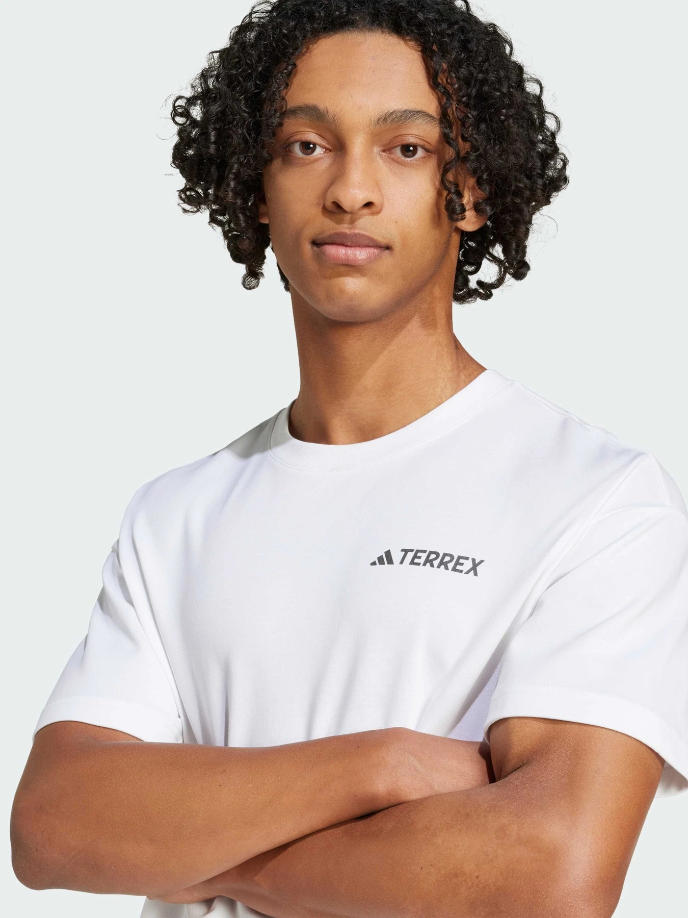 Футболки и поло Adidas модель JD5956 Футболки и поло Adidas модель JD5956 Фото