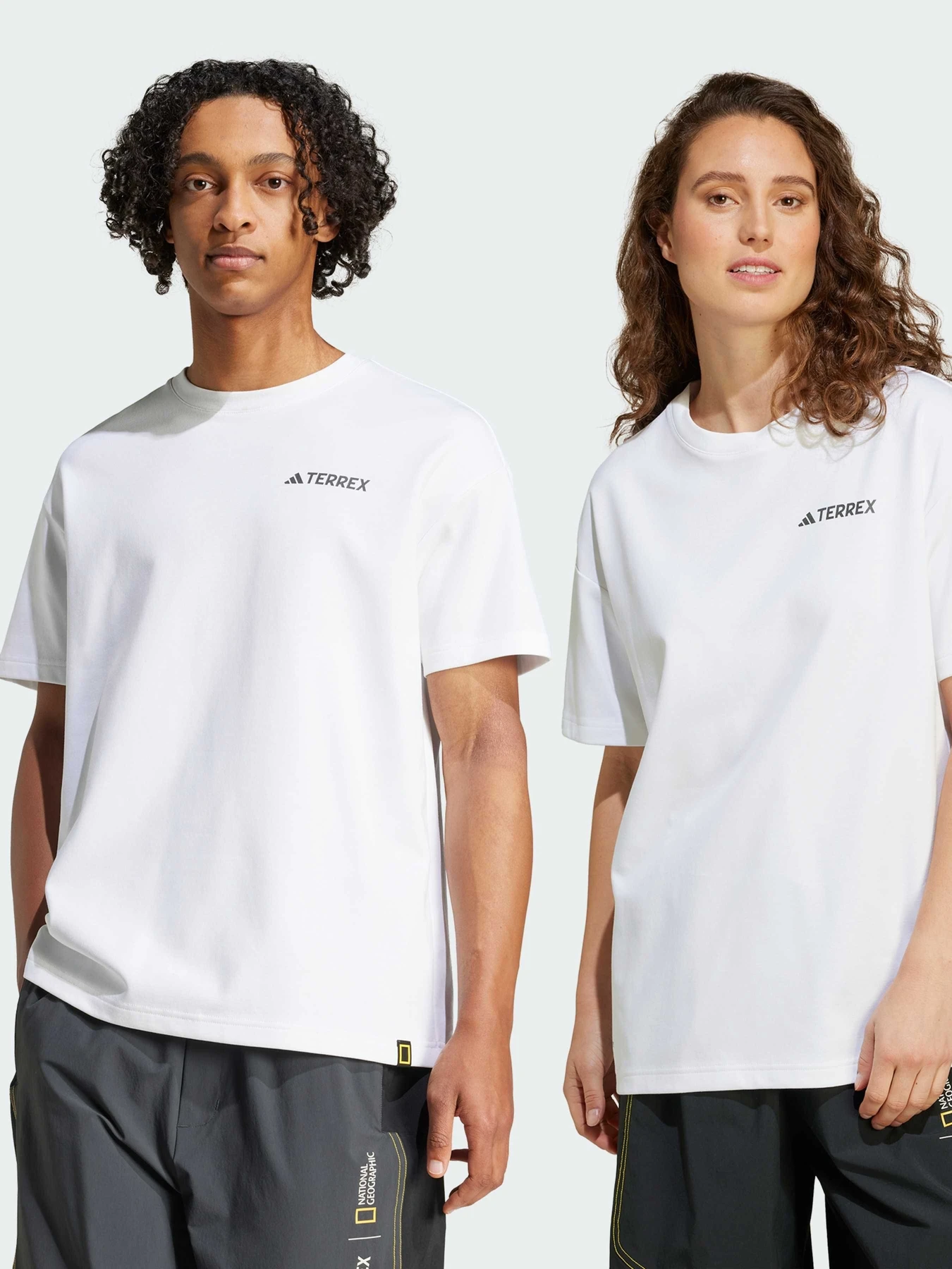 Футболки и поло Adidas модель JD5956 Футболки и поло Adidas модель JD5956 Фото