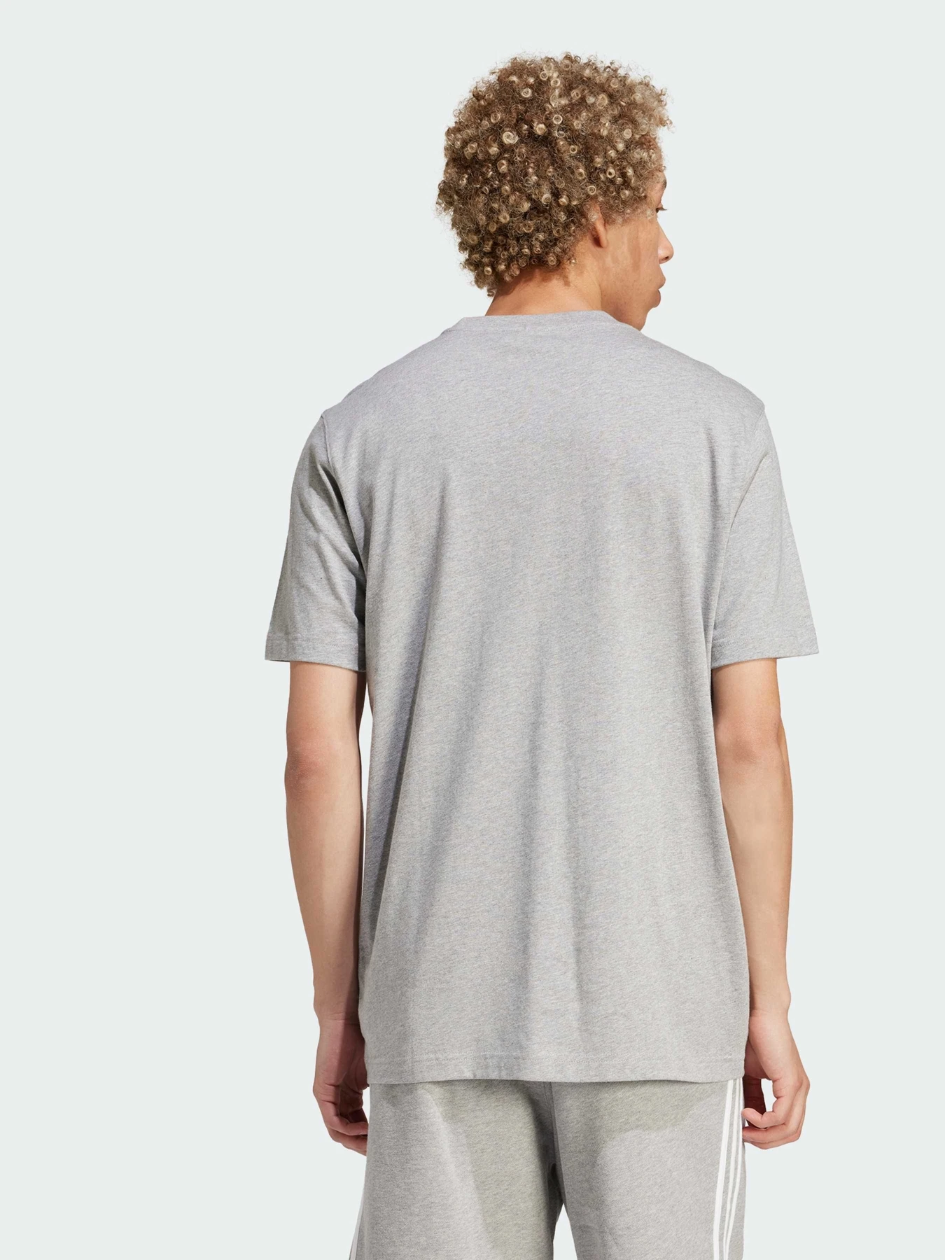 Футболки і поло Adidas Adicolor модель IS0613 Фото