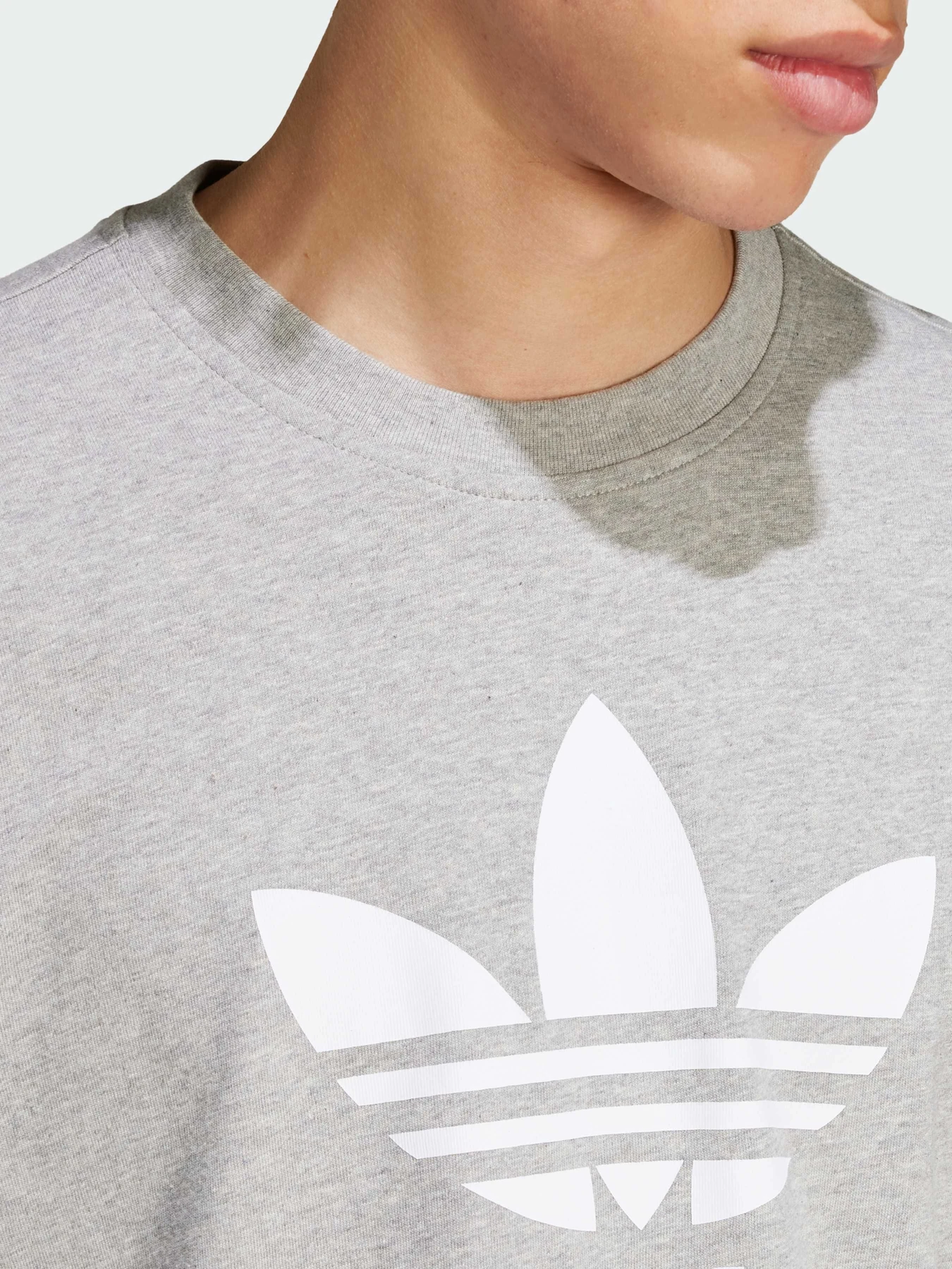 Футболки і поло Adidas Adicolor модель IS0613 Фото