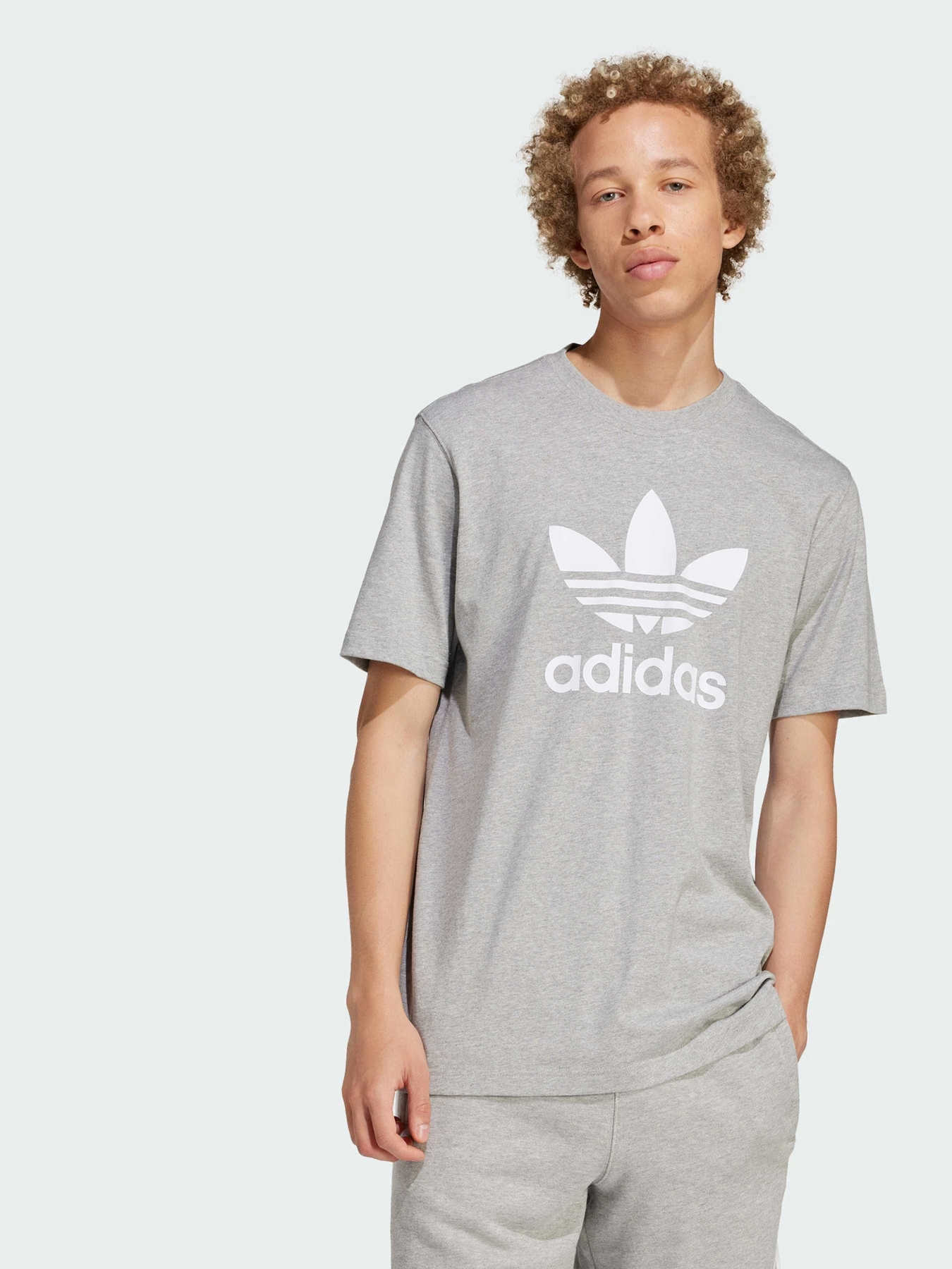 Футболки і поло Adidas Adicolor модель IS0613 Фото