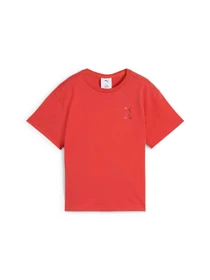 Футболки и поло PUMA x Hk&fr Graphic Tee модель 630062 Фото