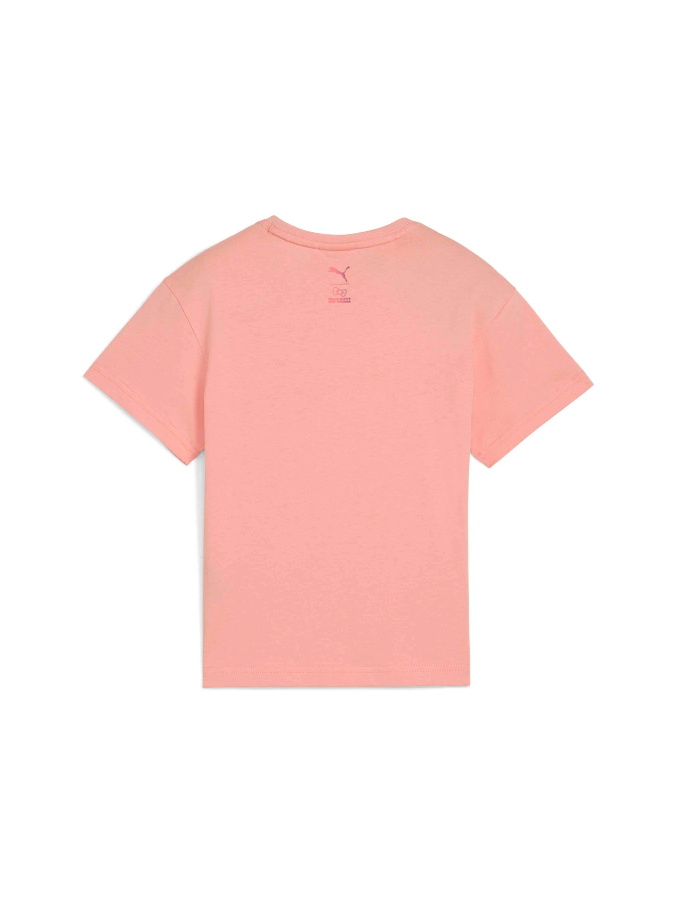 Футболки и поло PUMA x Hk&fr Graphic Tee модель 630062 Футболки и поло PUMA x Hk&fr Graphic Tee модель 630062 Фото