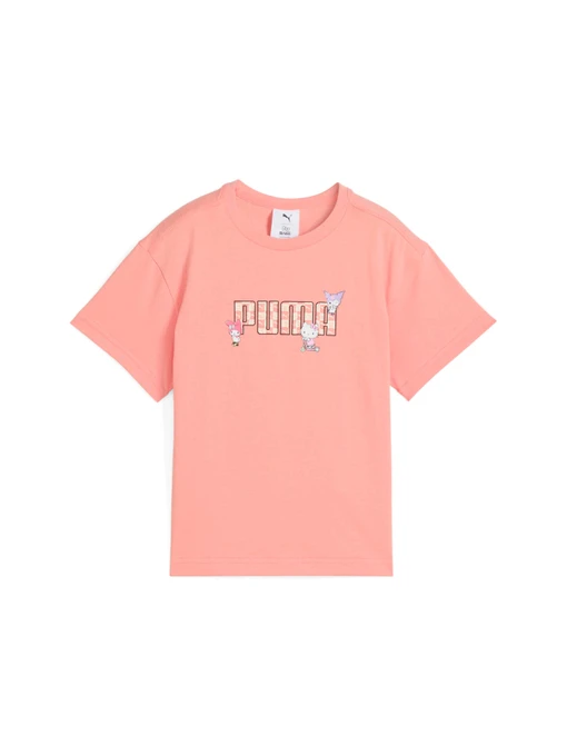 Футболки и поло PUMA x Hk&fr Graphic Tee модель 630062 Фото