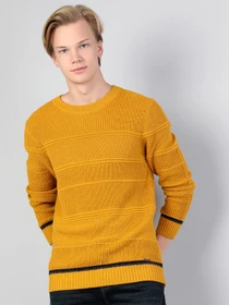Худи и свитшоты Colin’s модель CL1045372_Q1.V1_YLS Фото