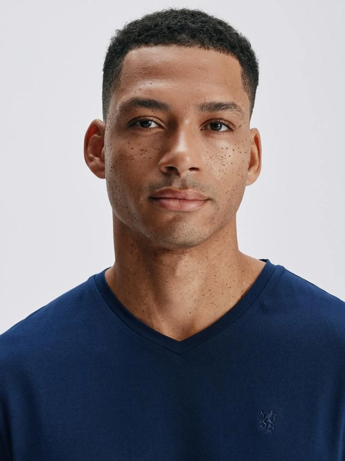 Футболки и поло DIVERSE V Neck 251 модель 10046178 Футболки и поло DIVERSE V Neck 251 модель 10046178 Фото