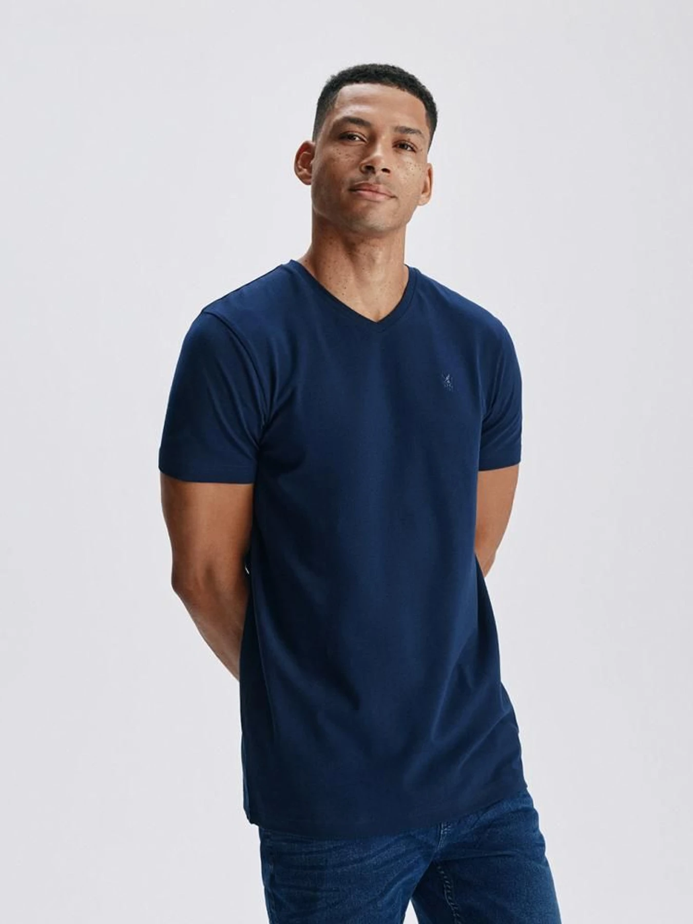 Футболки и поло DIVERSE V Neck 251 модель 10046178 Футболки и поло DIVERSE V Neck 251 модель 10046178 Фото