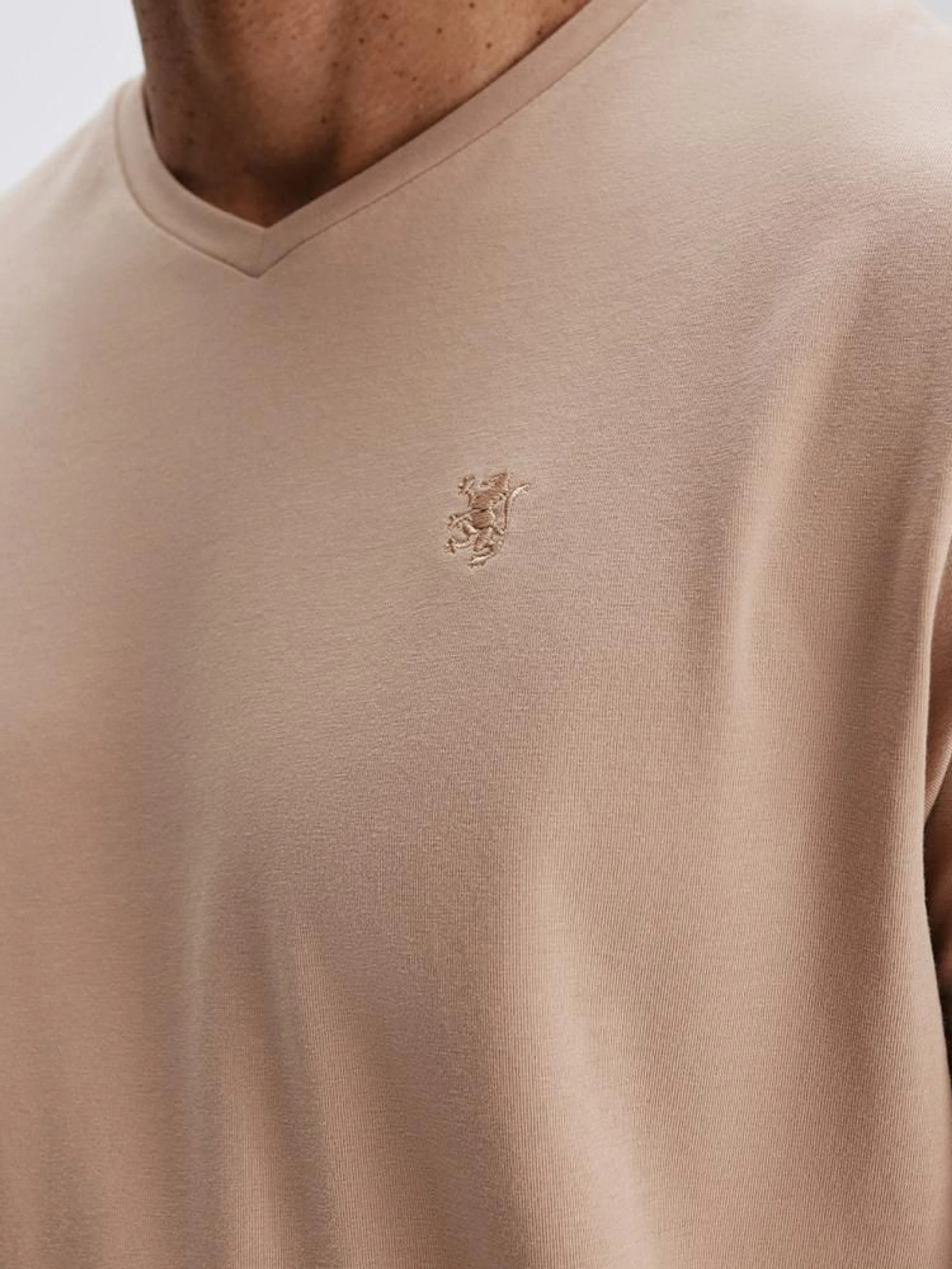 Чоловіча Футболка DIVERSE V Neck 251 фото 3