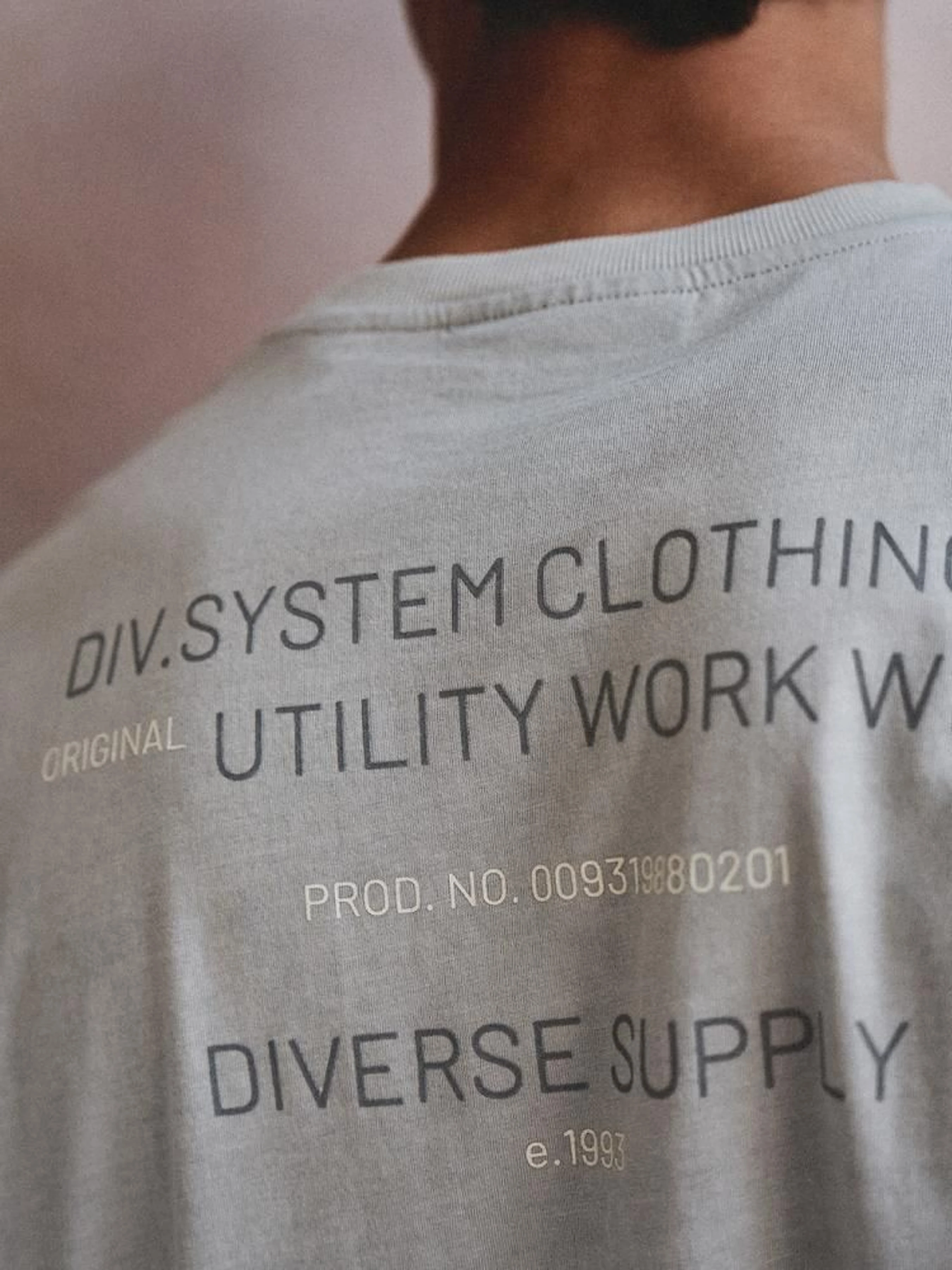 Бавовняна Чоловіча Футболка DIVERSE Sys Core Wash фото 2