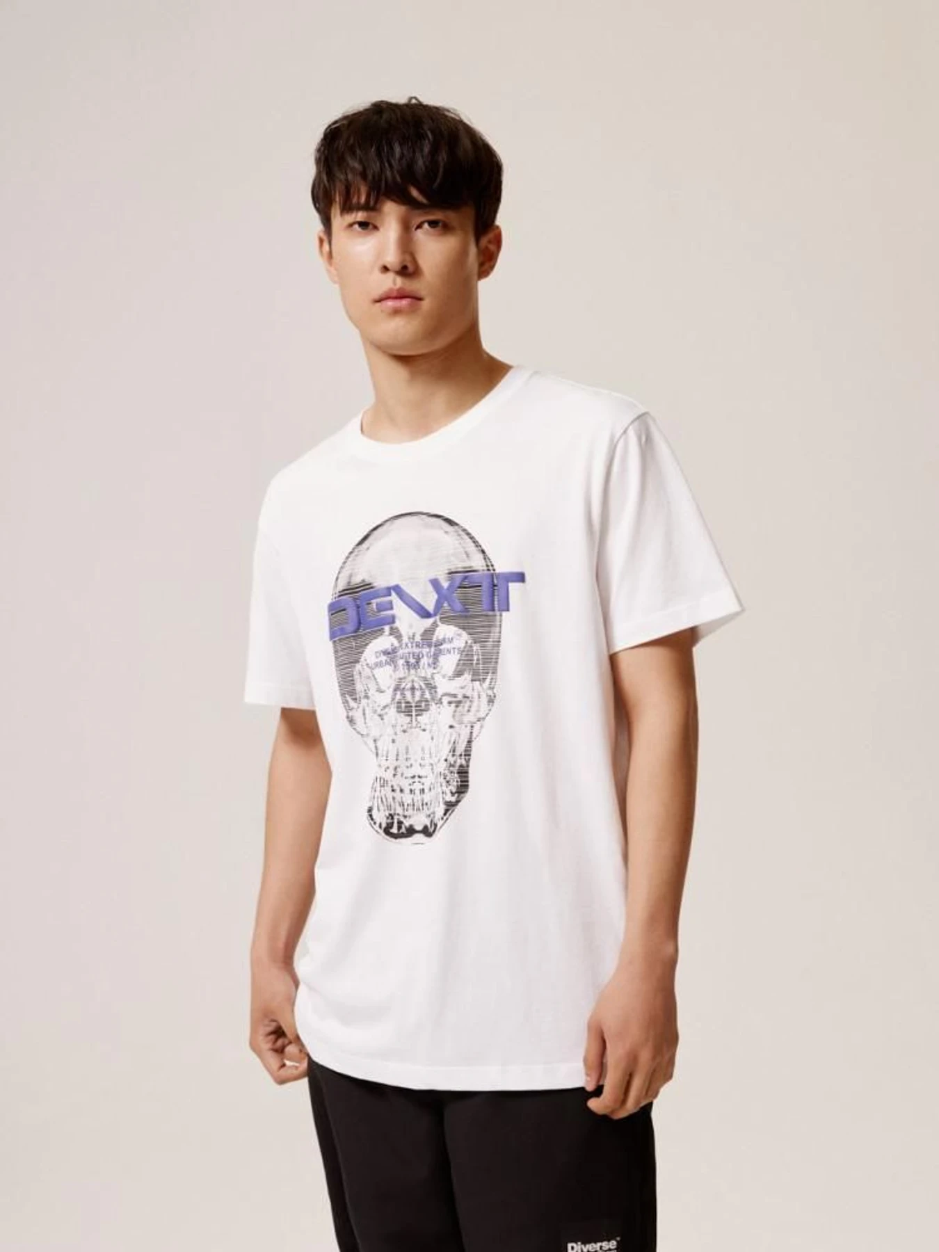 Футболки и поло DIVERSE Dext Skull D модель 10044530 Футболки и поло DIVERSE Dext Skull D модель 10044530 Фото
