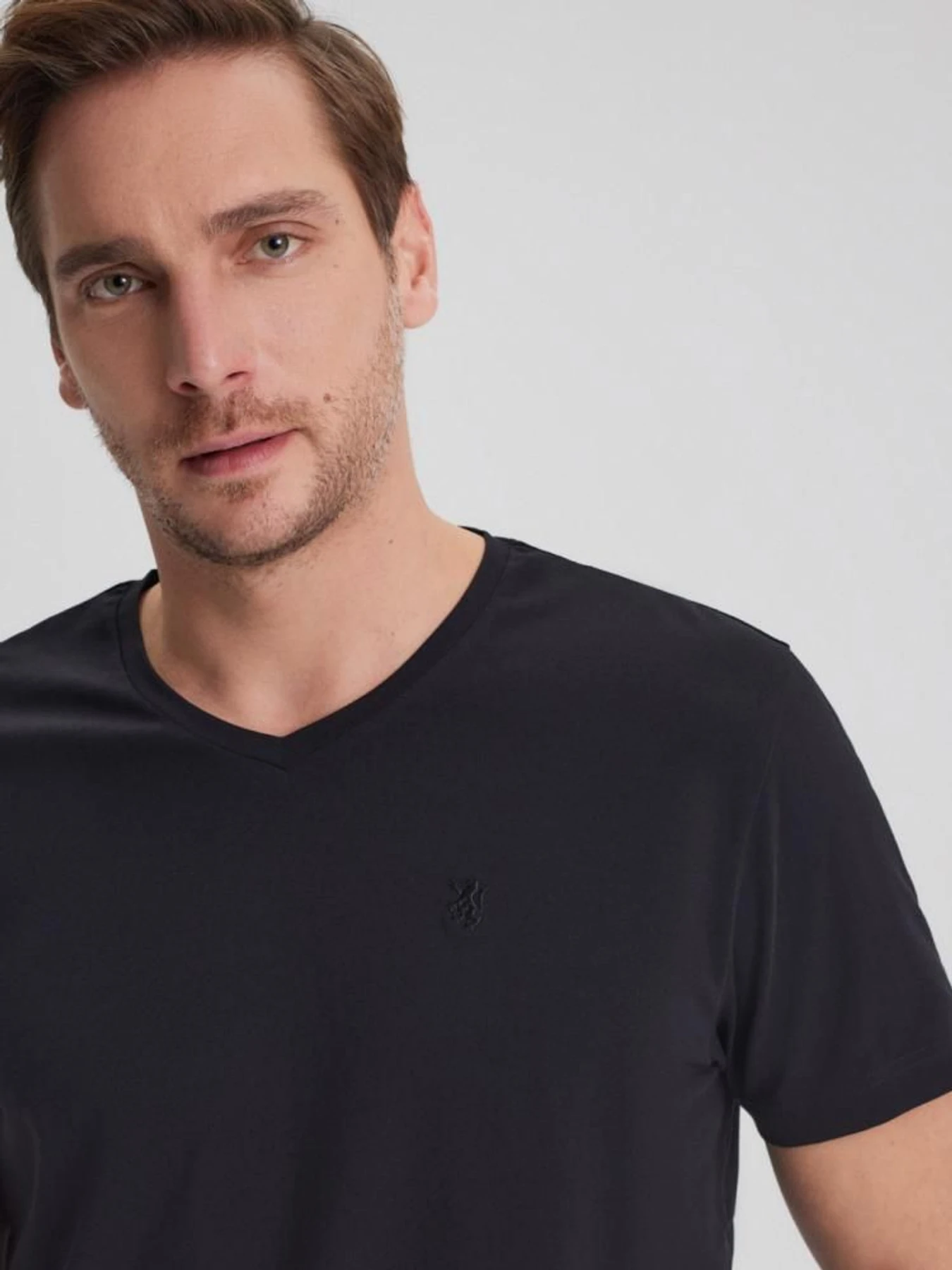 Футболки и поло DIVERSE V Neck модель 10043940 Футболки и поло DIVERSE V Neck модель 10043940 Фото