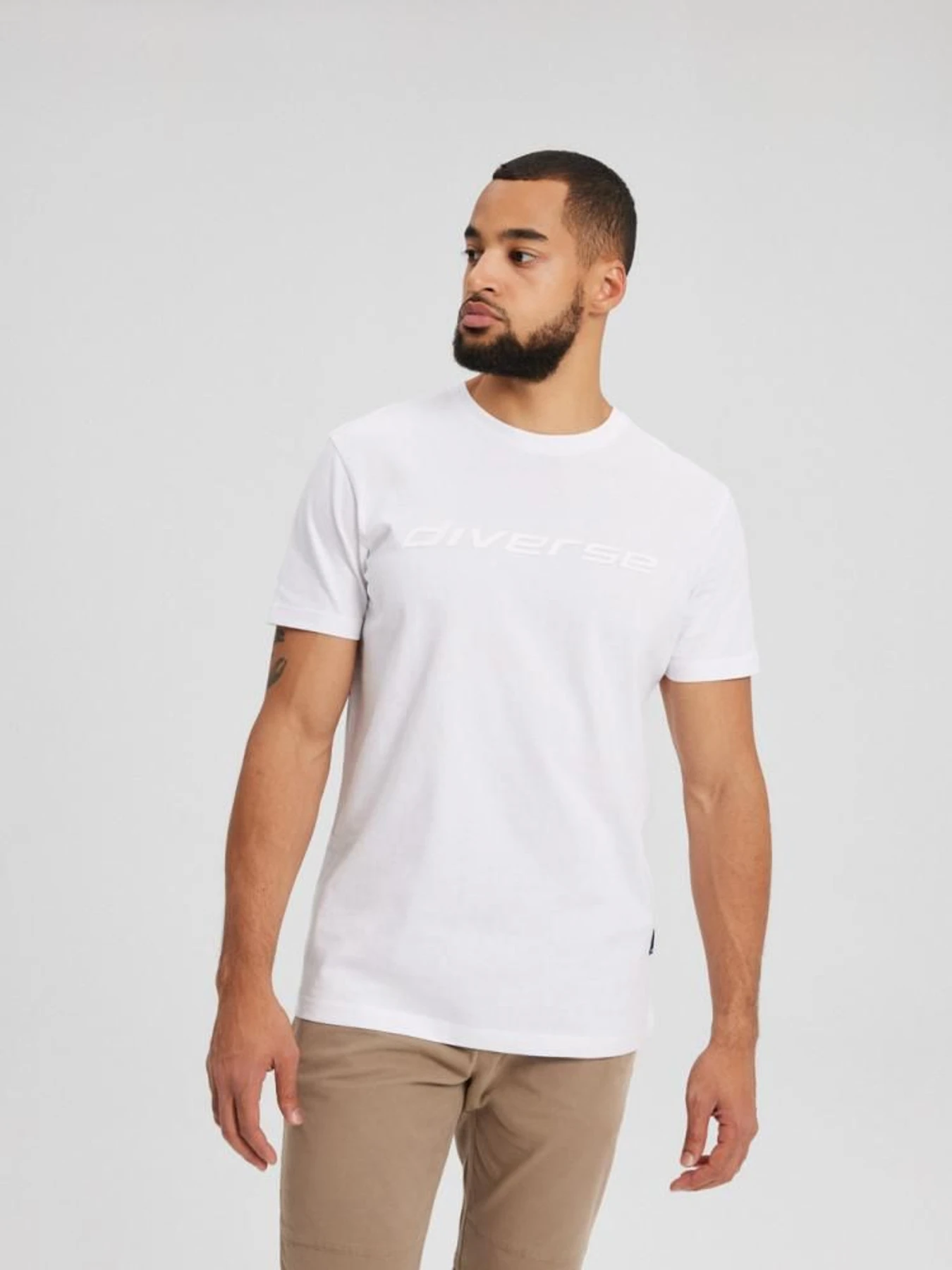 Футболки и поло DIVERSE Core Logo 241 модель 10043638 Футболки и поло DIVERSE Core Logo 241 модель 10043638 Фото