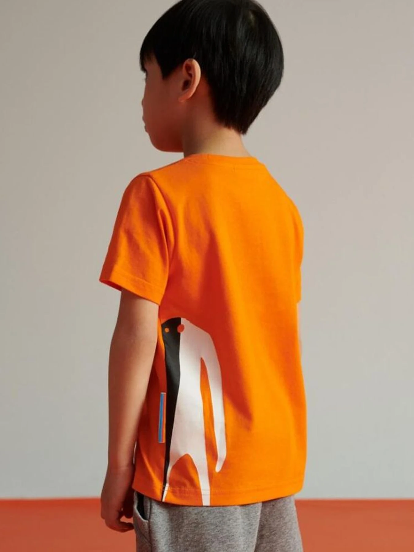 Футболки і поло DIVERSE Kid Logo 01 модель 10039292 Футболки і поло DIVERSE Kid Logo 01 модель 10039292 Фото