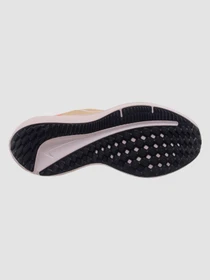 Кроссовки NIKE Winflo 10 Beige модель DV4023-100 Фото