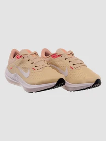 Кроссовки NIKE Winflo 10 Beige модель DV4023-100 Фото