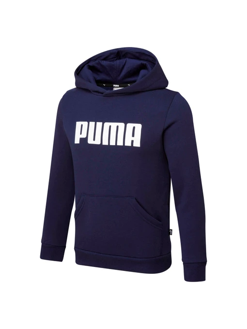 Худи и свитшоты PUMA Boys Ess Hoody Fl модель 847596 Фото