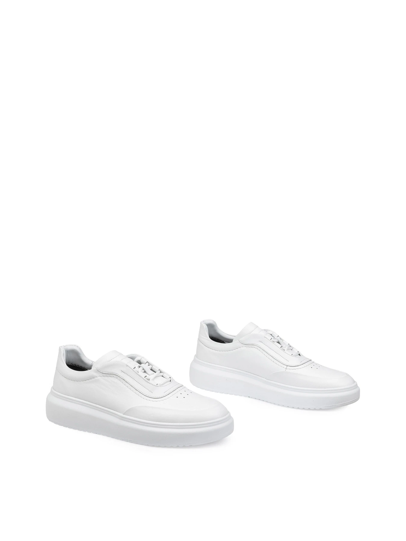 Кеди Alex Bell модель 1173963 Фото