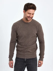 Свитры и кардиганы Trend Collection модель TC10391BrownSVTRMN Фото