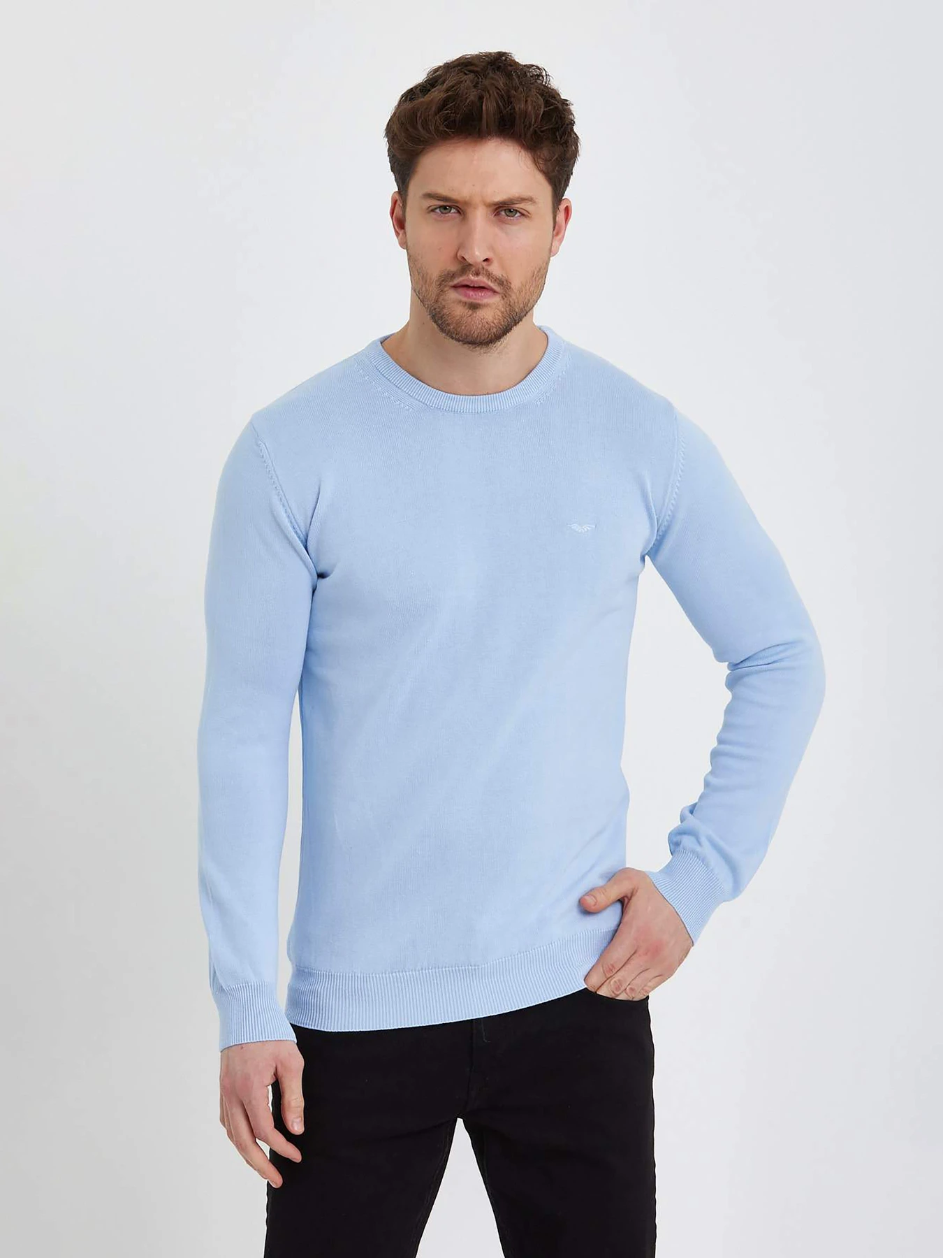 Свитры и кардиганы Trend Collection модель TC9779LightBlueSVTRMN Фото