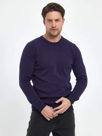 Свитры и кардиганы Trend Collection модель TC9670VioletSVTRMN Фото