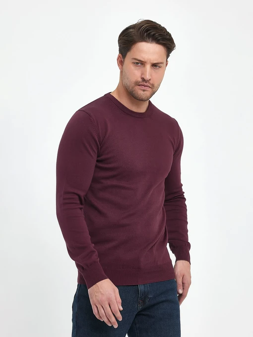 Свитры и кардиганы Trend Collection модель TC9669PlumSVTRMN Фото