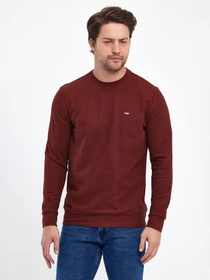 Худи и свитшоты Trend Collection модель TC9547BrownSVTRMN Фото