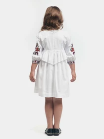 Вышиванки Едельвіка модель 303-20-09 Фото