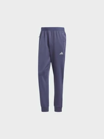 Брюки Adidas модель IW8416 Фото