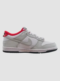 Кросівки NIKE Dunk модель FZ5528-101 Фото