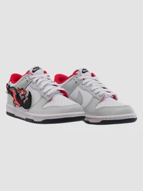 Кросівки NIKE Dunk модель FZ5528-101 Фото