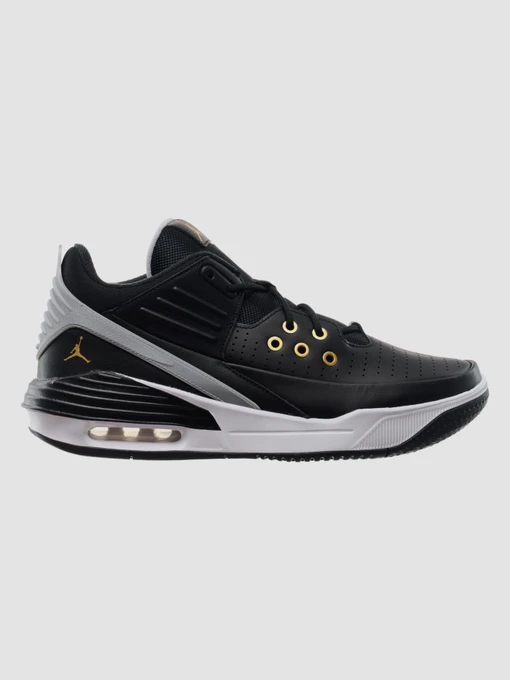 Кросівки Jordan Max Aura 5 модель DZ4353-017 Фото
