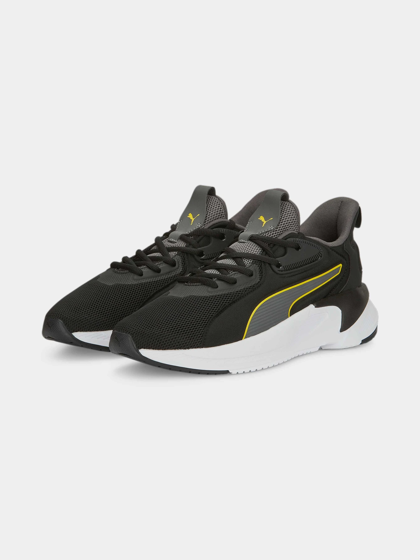 Кросівки PUMA Softride Premier модель 376186 Кросівки PUMA Softride Premier модель 376186 Фото