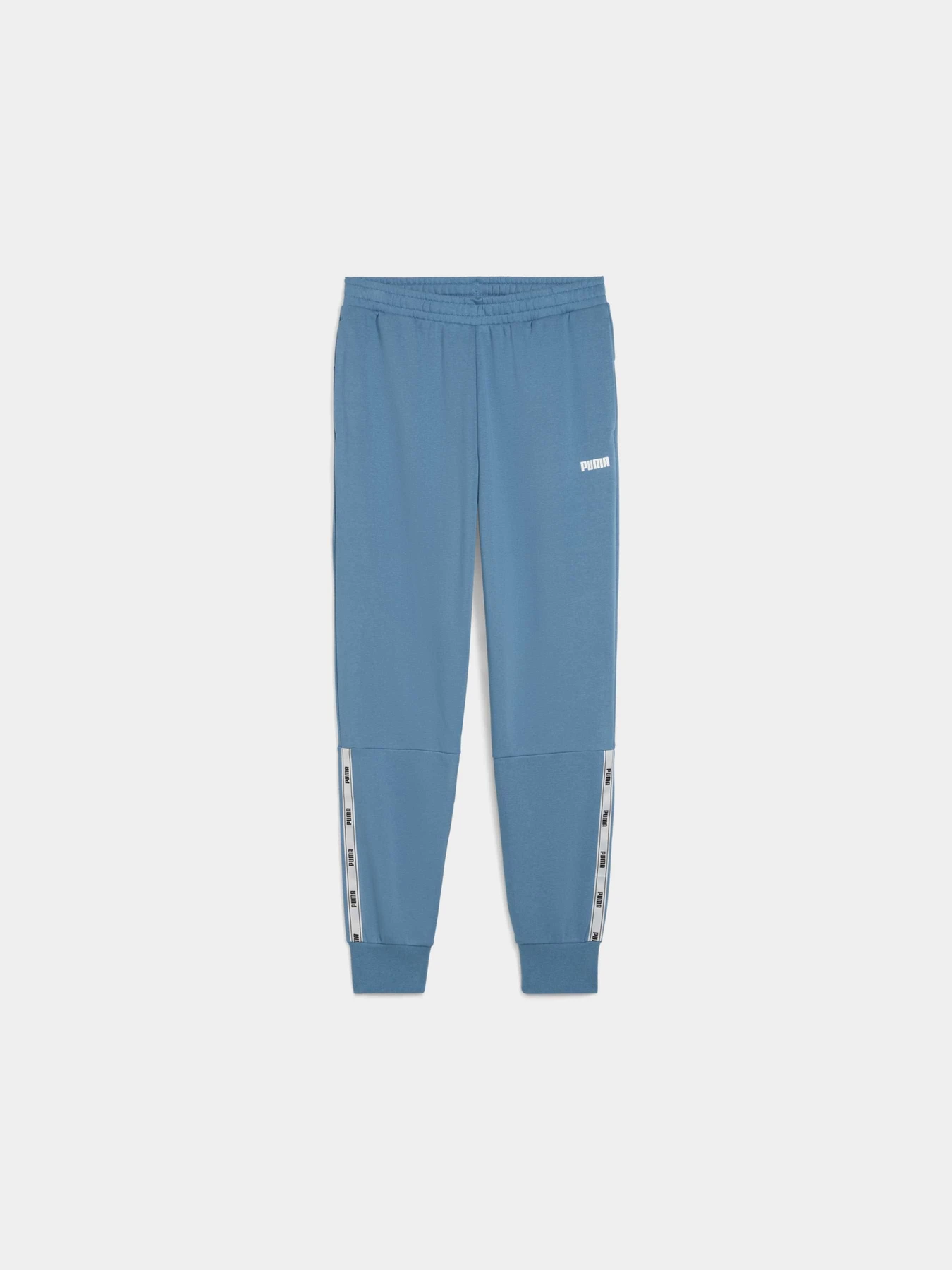 Спортивні штани PUMA Tape Sweatpants Tr Cl модель 688595 Фото