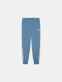 Спортивні штани PUMA Tape Sweatpants Tr Cl модель 688595 Фото