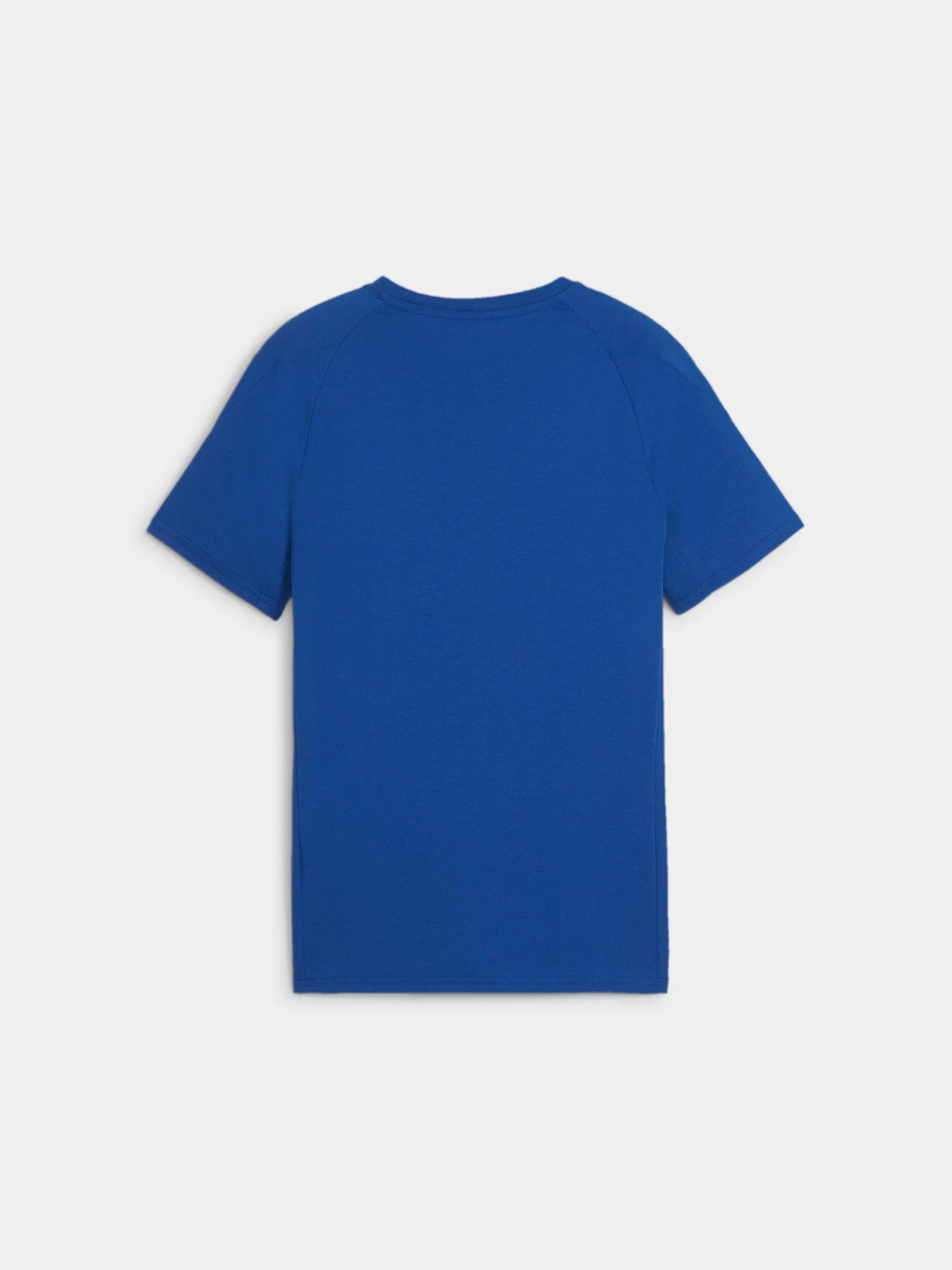 Футболки и поло PUMA Evostripe Tee модель 679195 Фото