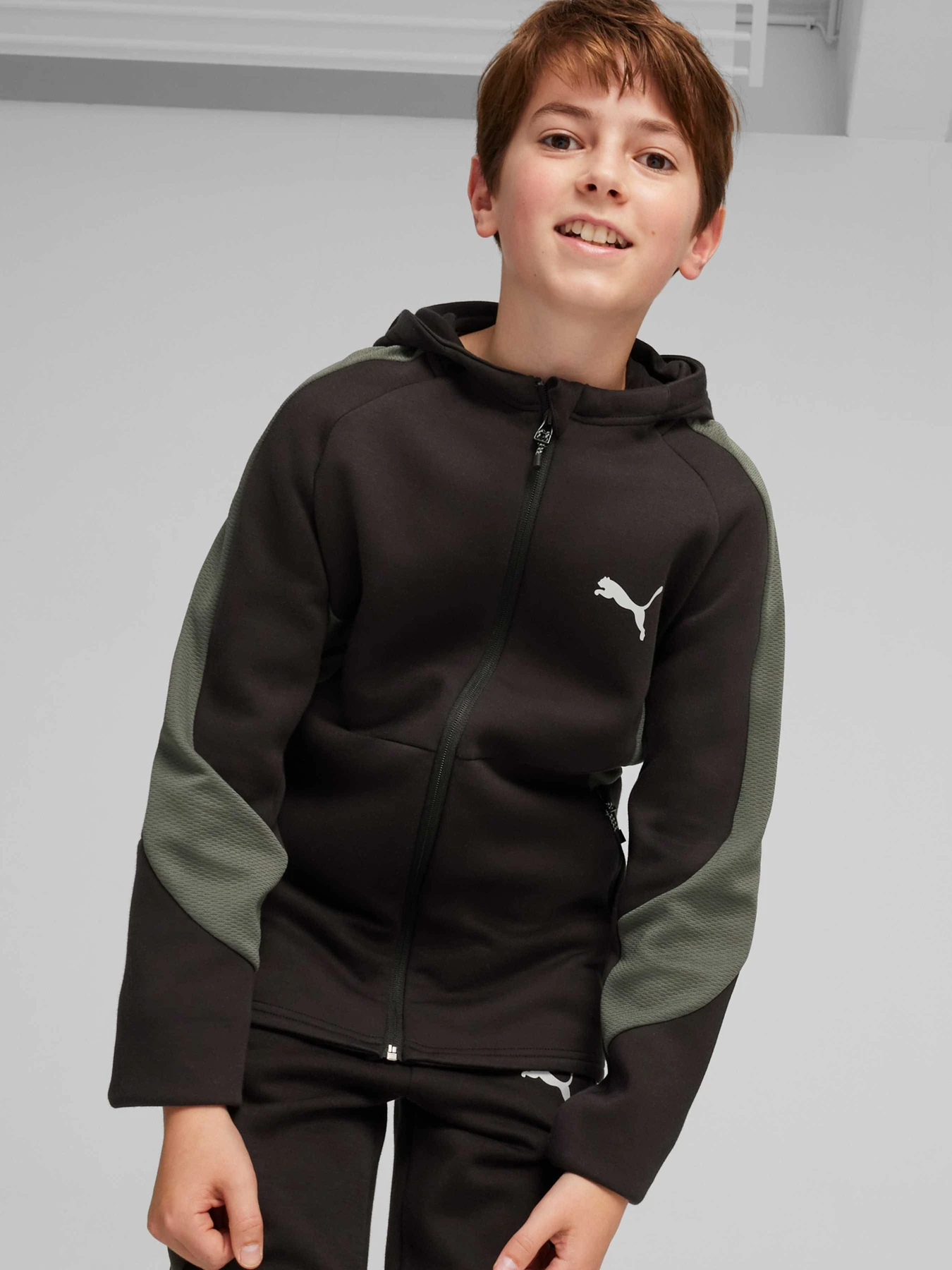 Худи и свитшоты PUMA Evostripe Full-zip Hoodie модель 679196 Фото