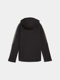 Худи и свитшоты PUMA Evostripe Full-zip Hoodie модель 679196 Фото