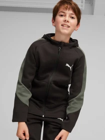 Худи и свитшоты PUMA Evostripe Full-zip Hoodie модель 679196 Фото