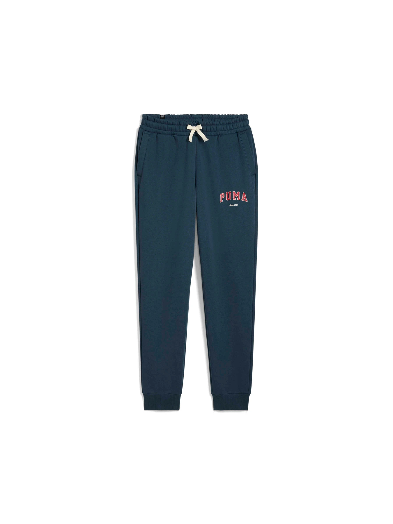 Штани PUMA Varsity Sweatpants Fl M модель 679335 Штани PUMA Varsity Sweatpants Fl M модель 679335 Фото
