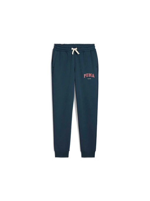 Штани PUMA Varsity Sweatpants Fl M модель 679335 Фото