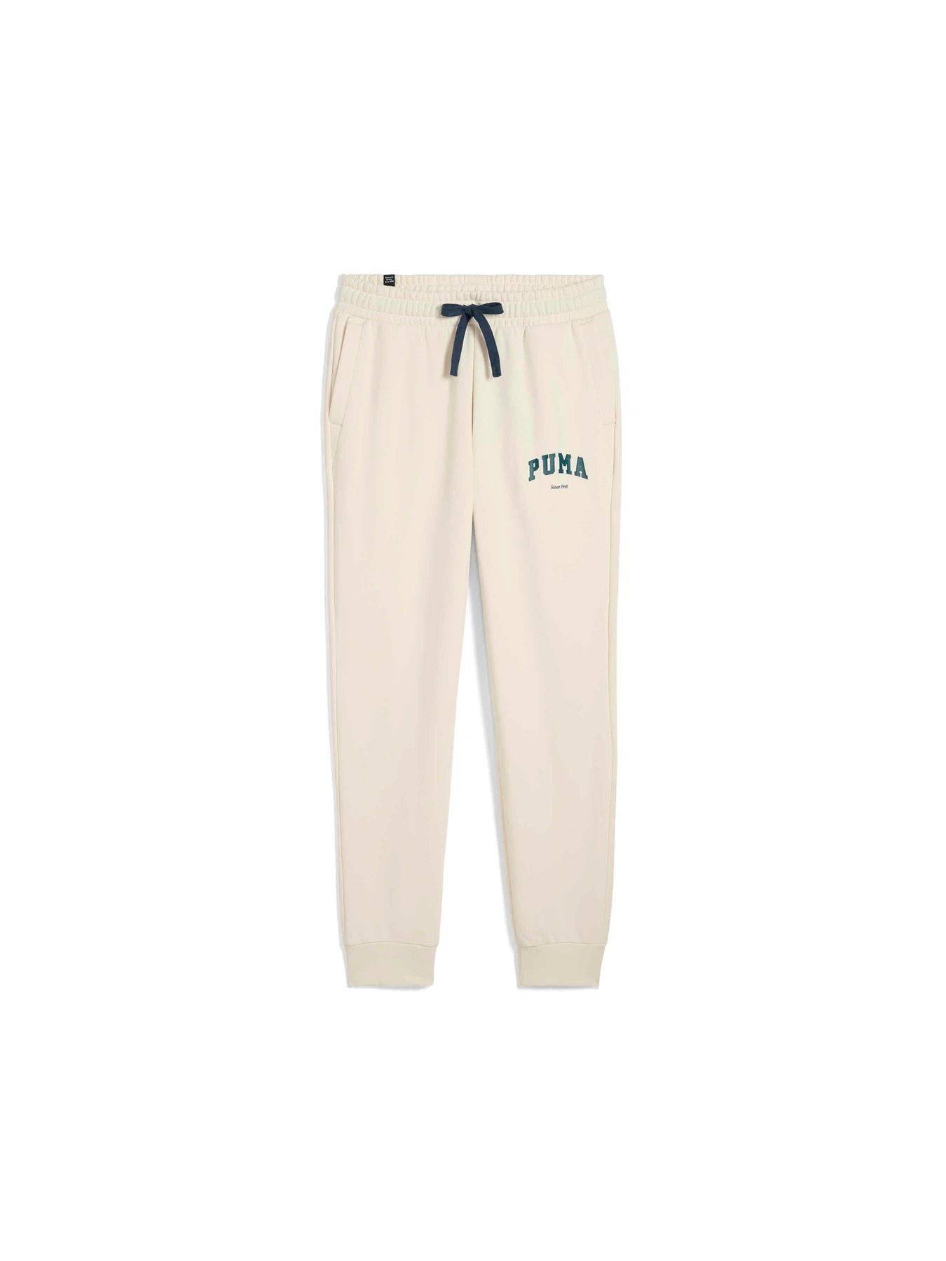 Штани PUMA Varsity Sweatpants Fl M модель 679335 Фото