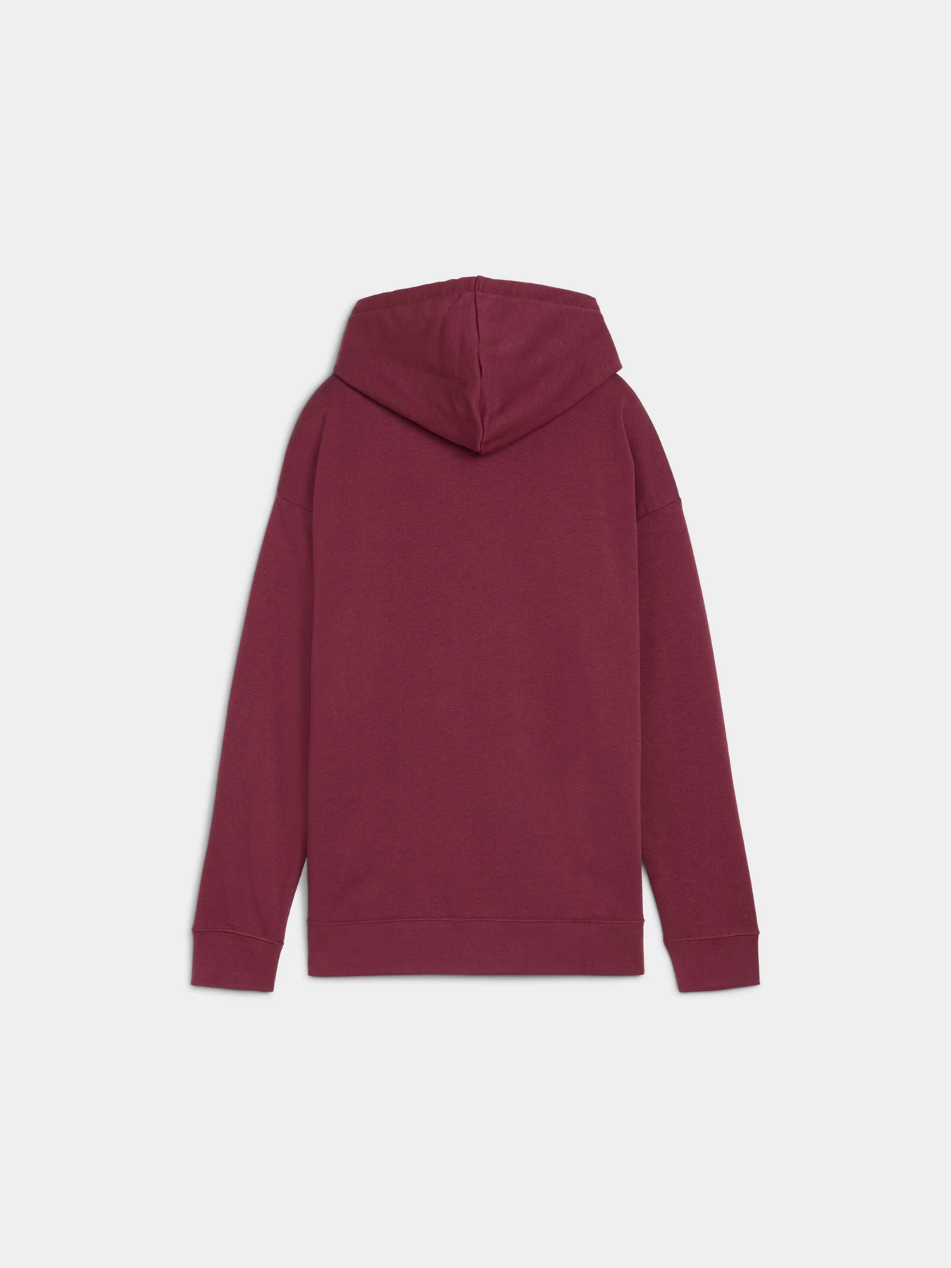 Худи и свитшоты PUMA Ess Small Logo Relaxed Hoodi модель 688321 Фото