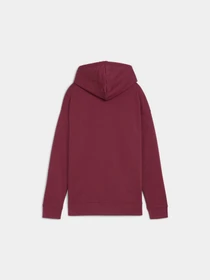 Худи и свитшоты PUMA Ess Small Logo Relaxed Hoodi модель 688321 Фото