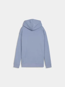 Худи и свитшоты PUMA Ess Small Logo Relaxed Hoodi модель 688321 Фото