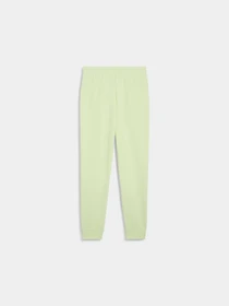 Брюки PUMA Ess Logo Sweatpants Tr Cl модель 688334 Фото