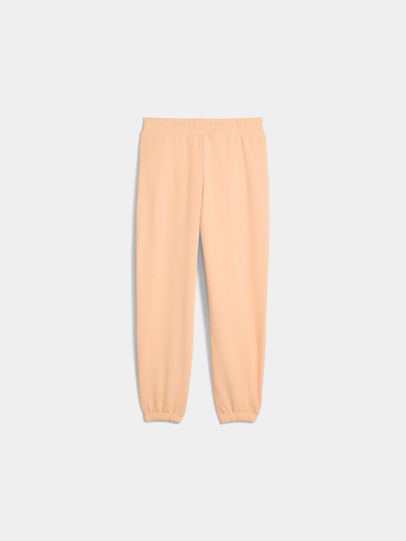 Брюки PUMA Elevated Ess Sweatpants Tr модель 688650 Брюки PUMA Elevated Ess Sweatpants Tr модель 688650 Фото