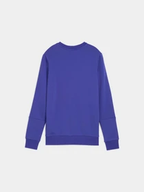 Худи и свитшоты PUMA Tape Crew Tr модель 689545 Фото
