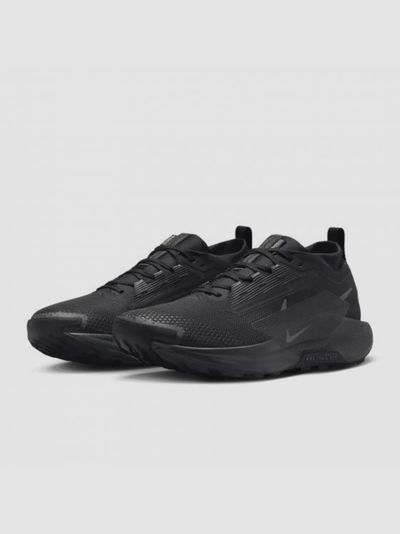 Кроссовки NIKE Pegasus Trail 5 модель FQ0908-002 Фото
