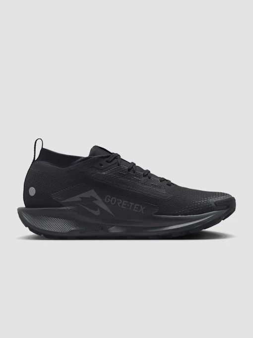 Кросівки NIKE Pegasus Trail 5 модель FQ0908-002 Фото